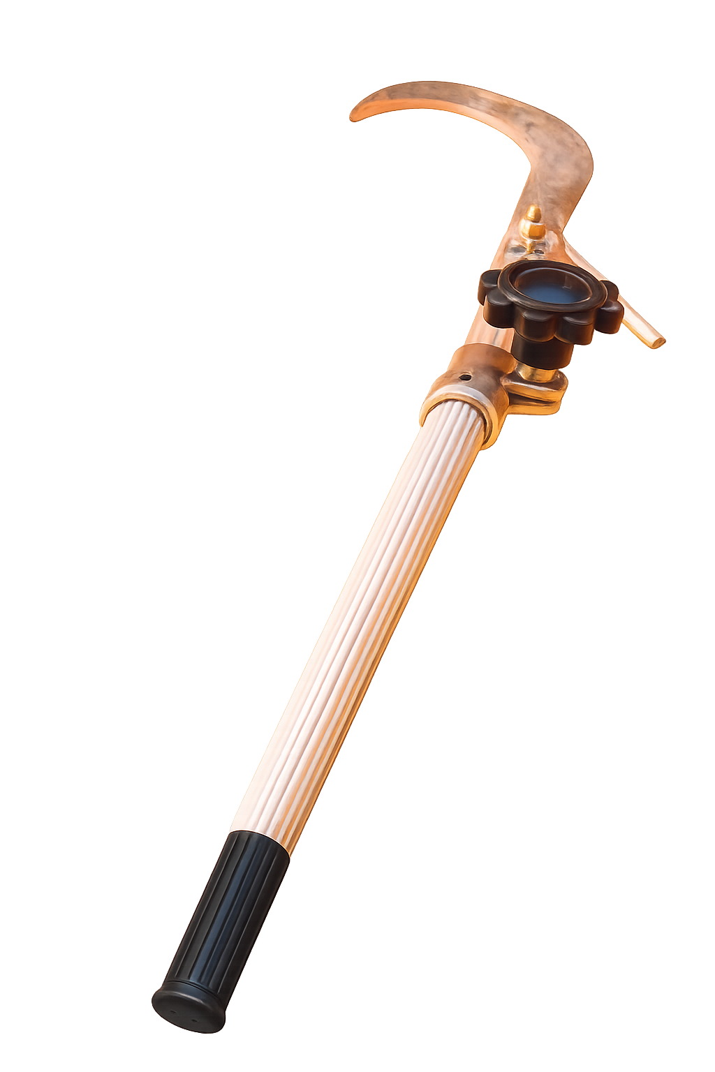 Telescopic Pole with Fruit Picker